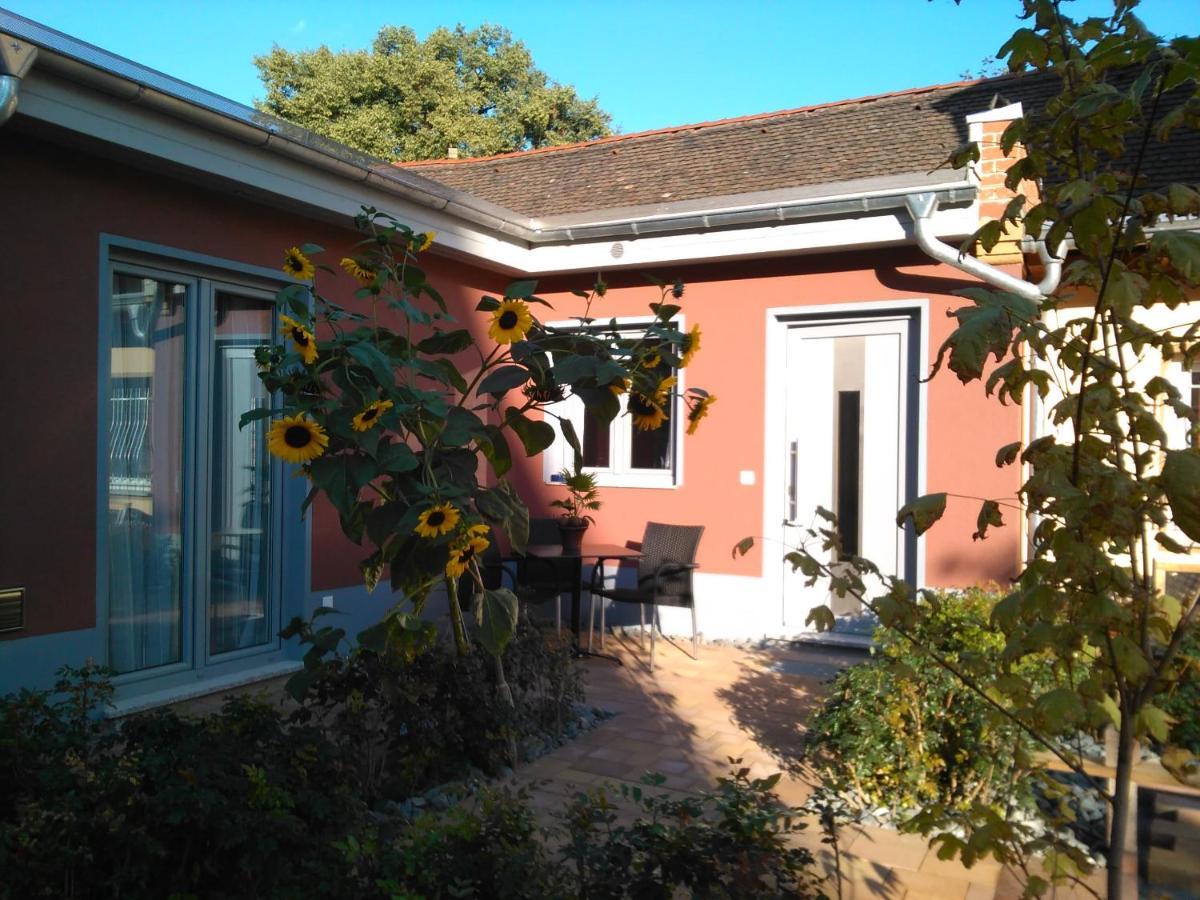 Apartamento Kleines Feines Ferienhaus Im Herzen Von Dresde Exterior foto